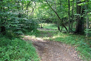 hard packed velomobile trail