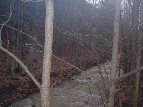 fast creek without bridge